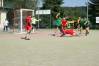 Jméno souboru : DSC00477.JPG
Velikost souboru : 99KB
Rozměry : 448x299
Datum přidání : Září 19, 2013 DSC00477.JPG