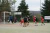 Jméno souboru : DSC01574.JPG
Velikost souboru : 158KB
Rozměry : 640x427
Datum přidání : Říjen 29, 2013 DSC01574.JPG