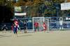 Jméno souboru : DSC01417.JPG
Velikost souboru : 180KB
Rozměry : 640x427
Datum přidání : Říjen 29, 2013 DSC01417.JPG